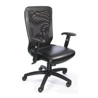Boss Web Chair